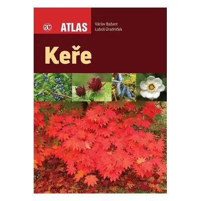 Keře - Atlas - Václav Bažant