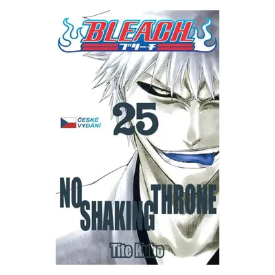 Bleach 25: No Shaking Throne - Noriaki Kubo