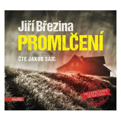 Promlčení - CDmp3 - Jiří Březina