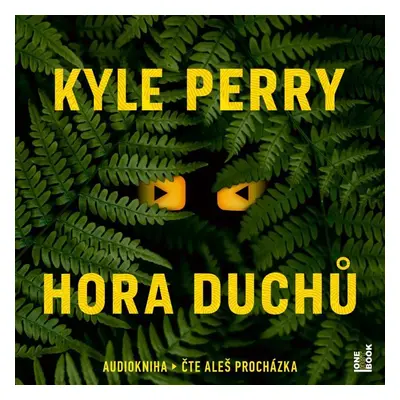 Hora Duchů - 2 CDmp3 (Čte Aleš Procházka) - Kyle Perry