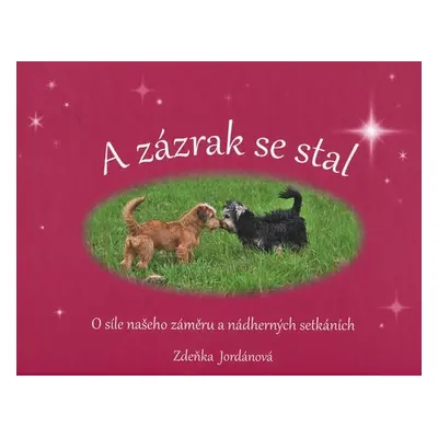 A zázrak se stal - Zdeňka Jordánová