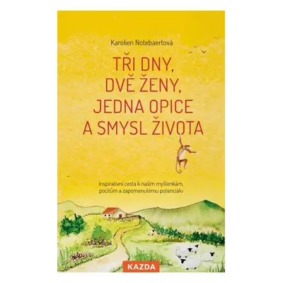 Tři dny, dvě ženy, jedna opice a smysl života - Inspirativní cesta k našim myšlenkám, pocitům a 