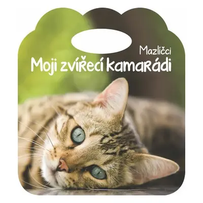 Mazlíčci - Moji zvířecí kamarádi - Kolektiv autorú