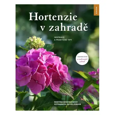 Hortenzie v zahradě - Inspirace a praktické tipy - Martina Meidingerová