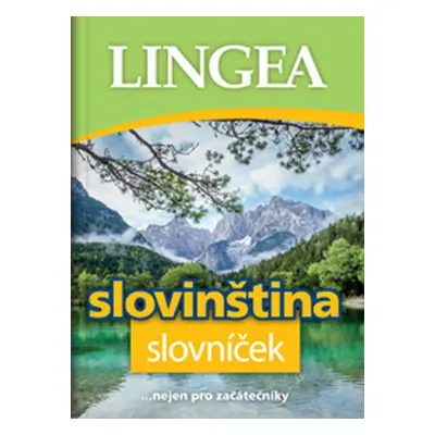 Slovinština slovníček ...nejen pro začátečníky - kolektiv.