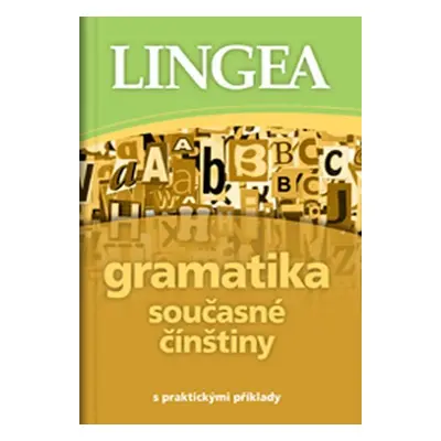 Gramatika současné čínštiny s praktickými příklady - Kolektiv autorú