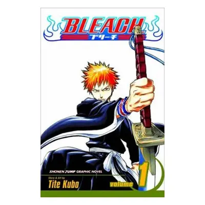 Bleach 1: The Death and the Strawberry - Noriaki Kubo