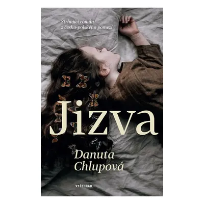 Jizva, 2. vydání - Danuta Chlupová