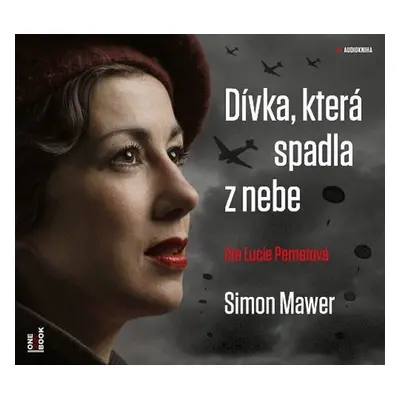 Dívka, která spadla z nebe - CDmp3 (Čte Lucie Pernetová) - Simon Mawer