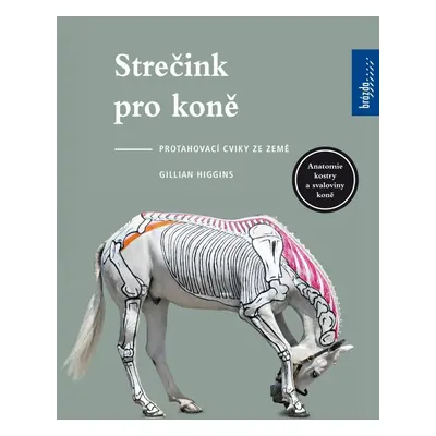 Strečink pro koně - Protahovací cviky ze země - Gillian Higgins