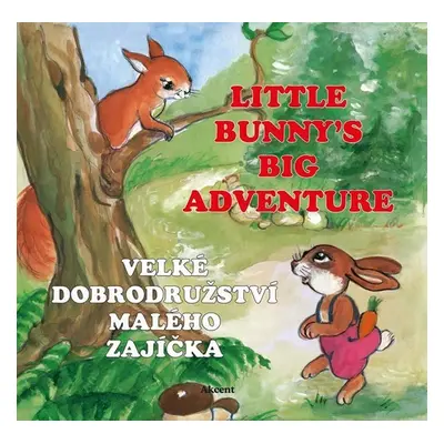 Velké dobrodružství malého zajíčka / Little Bunny´s Big Adventure - Ludmila Šnajderová