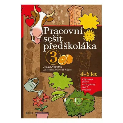 Pracovní sešit předškoláka 3, 4-6 let - Příprava dítěte na úspěšný start ve škole, 2. vydání - 