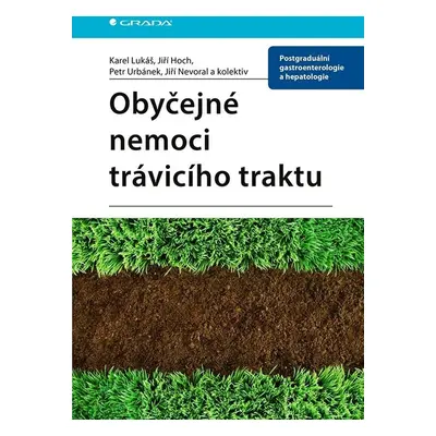 Obyčejné nemoci trávicího traktu - Karel Lukáš