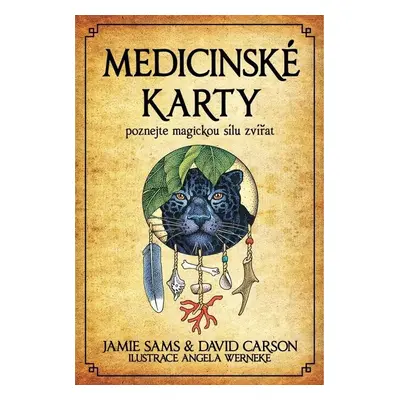 Medicinské karty - Poznejte magickou sílu zvířat - Kniha + 52 karet, 3. vydání - David Carson