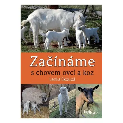 Začínáme s chovem ovcí a koz - Lenka Skoupá