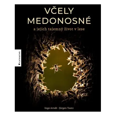 Včely medonosné a jejich tajemný život v lese - Jürgen Tautz