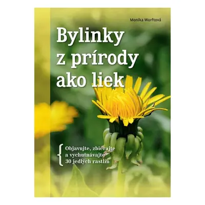 Bylinky z prírody ako liek