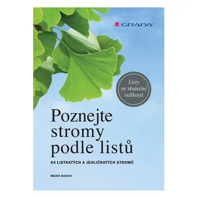 Poznejte stromy podle listů - 64 listnatých a jehličnatých stromů - Meike Bosch