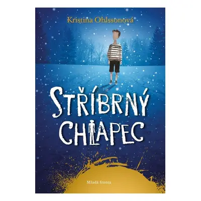 Stříbrný chlapec - Kristina Ohlsson