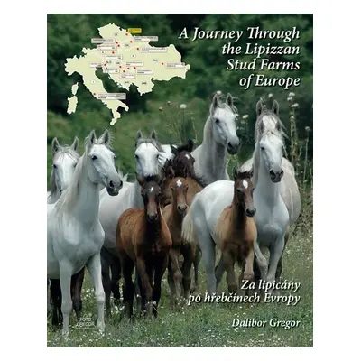 Za lipicány po hřebčínech Evropy / A Journey Through the Lipizzan Stud Farms of Europe - Dalibor