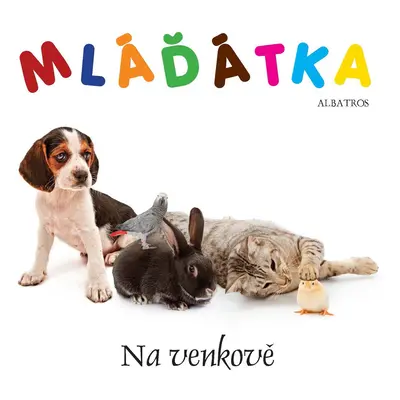 Mláďátka na venkově - Matt MacNabb