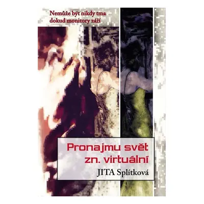 Pronajmu svět zn. virtuální - Jita Splítková