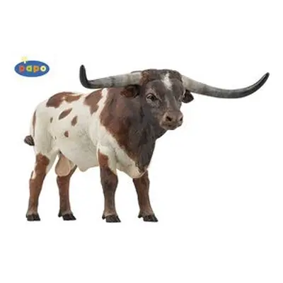 Býk Longhorn