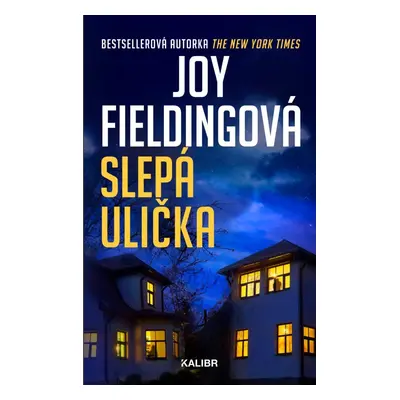 Slepá ulička - Joy Fielding