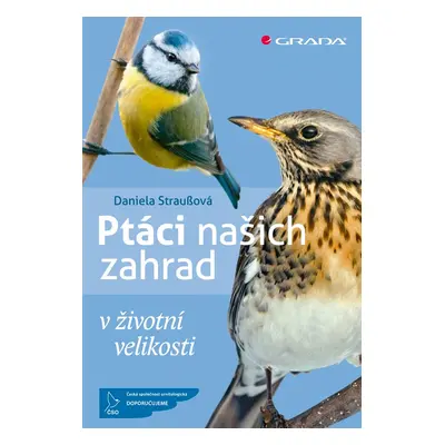 Ptáci našich zahrad v životní velikosti - Daniela Straußová