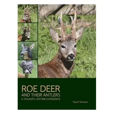 Roe Deer and their Antlers - A Stalker´s lifetime experience - Pavel Scherer