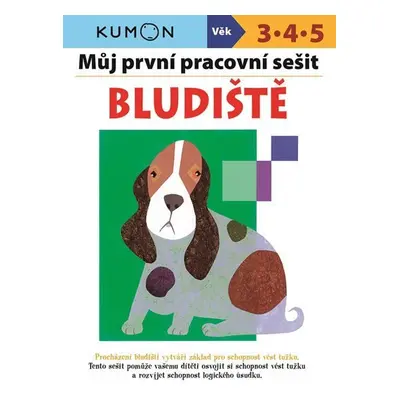 Bludiště - Můj pracovní sešit - Giovanni K. Moto