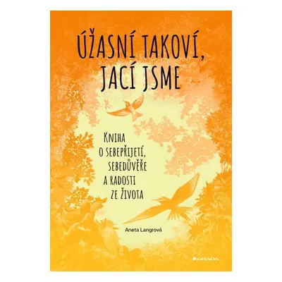 Úžasní takoví, jací jsme - Kniha o sebepřijetí, sebedůvěře a radosti ze života - Aneta Langrová