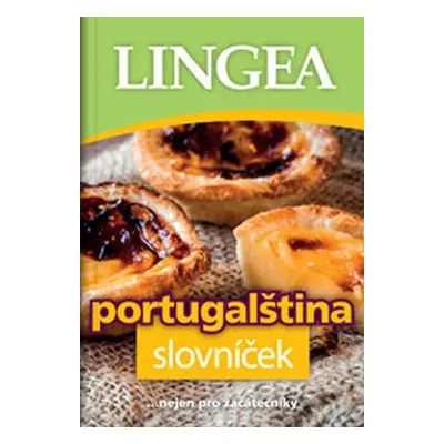 Portugalština slovníček - kolektiv autorů