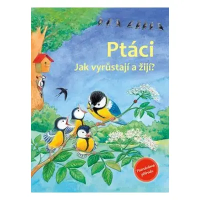 Ptáci - Jak vyrůstají a žijí? - Friedrun Reichenstetterová