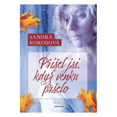 Přišel jsi, když venku pršelo - Sandra Rokosová