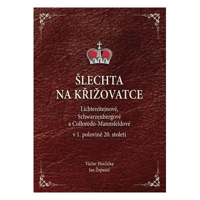 Šlechta na křižovatce - Lichtenštejnové, Schwarzenbergové a Colloredo-Mannsfeldové v 1. polovině