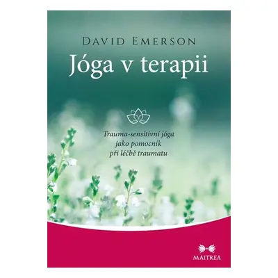 Jóga v terapii - Trauma-sensitivní jóga jako pomocník při léčbě traumatu - David Emerson