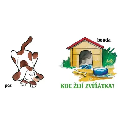 Kde žijí zvířátka?