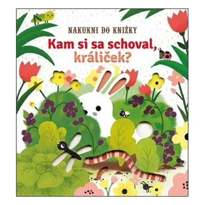 Kam si sa schoval králiček? - Sam Tamplin