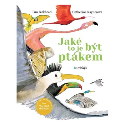 Jaké to je být ptákem - Tim Birkhead