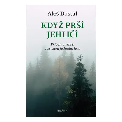 Když prší jehličí - Aleš Dostál