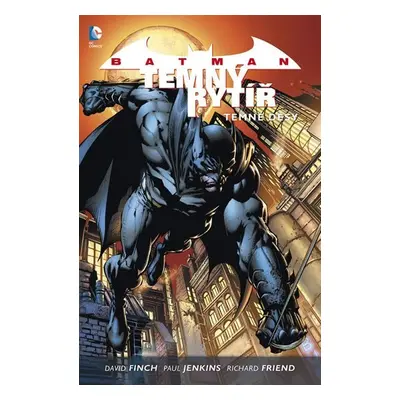 Batman: Temný rytíř 1 - Temné děsy - David Finch