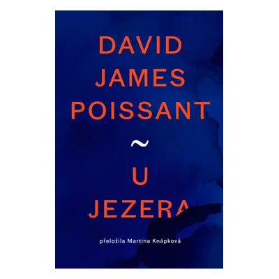 U jezera - David James Poissant