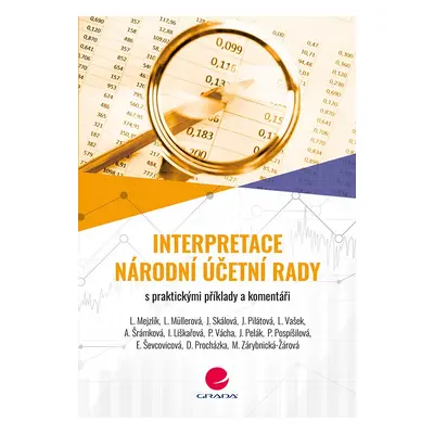 Interpretace Národní účetní rady - Jana Skálová