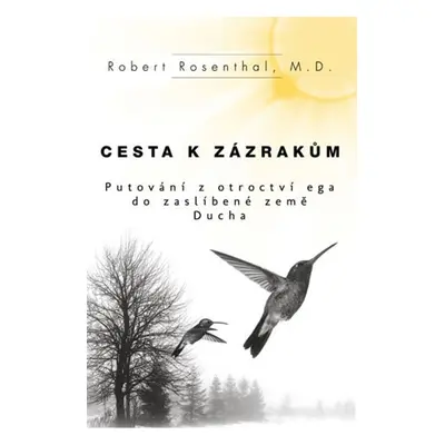 Cesta k zázrakům - Robert Rosenthal