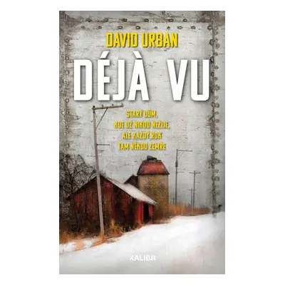 Déja vu - David Urban