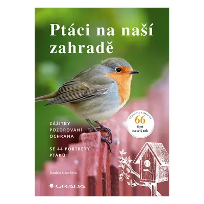 Ptáci na naší zahradě - Zážitky, pozorování, ochrana - Daniela Straußová