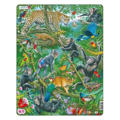 Puzzle Africký deštný prales