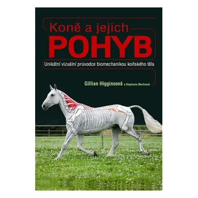 Koně a jejich pohyb - Gillian Higginsová