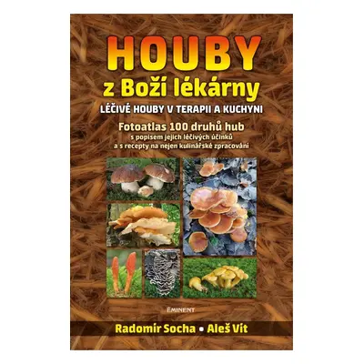 Houby z Boží lékárny - Léčivé houby v terapii a kuchyni - Radomír Socha